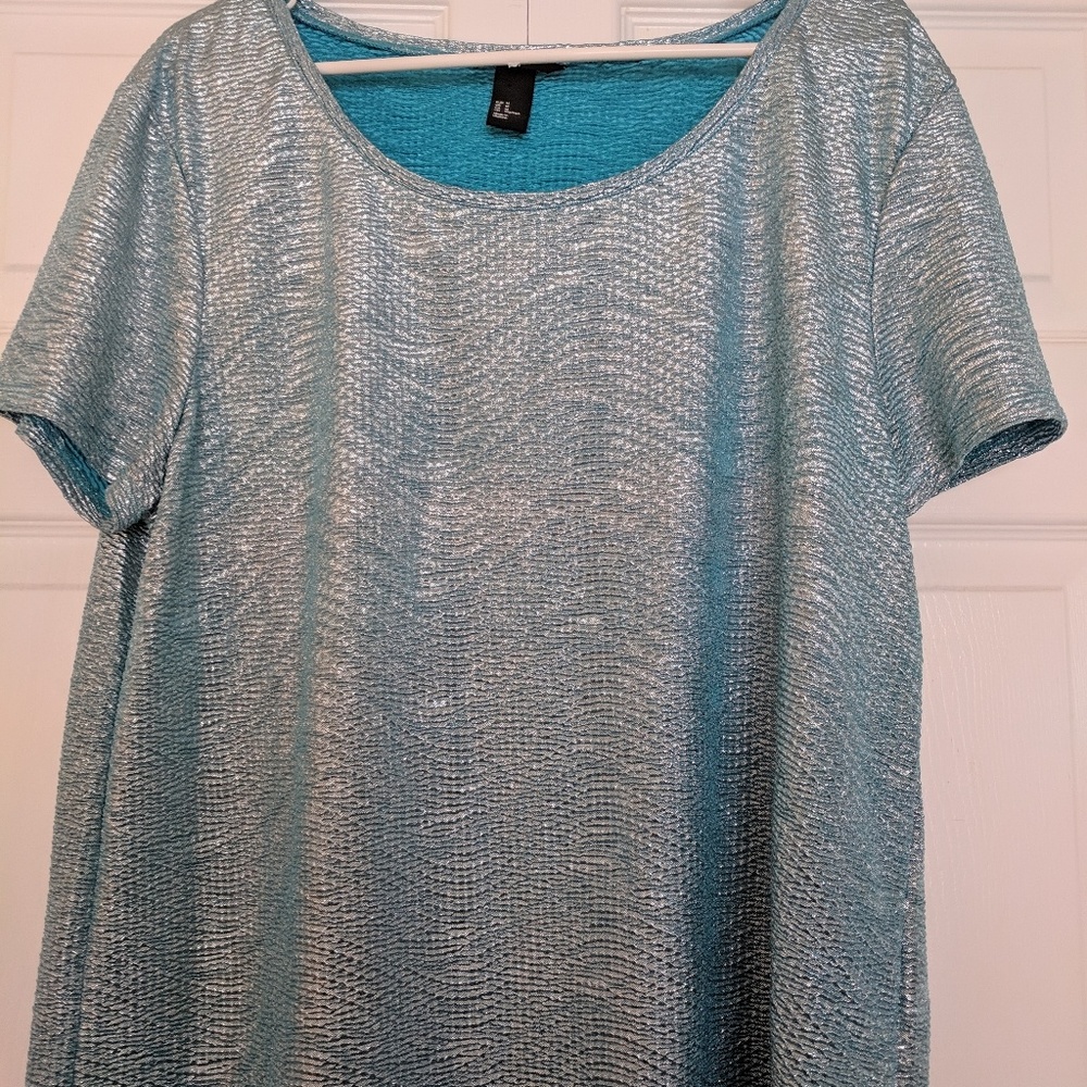 H&M Women's Blue shimmer short sleeve blouse